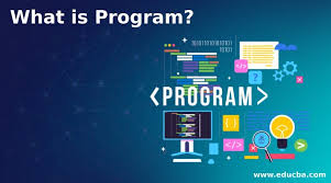 program's
