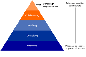 citizens' participation