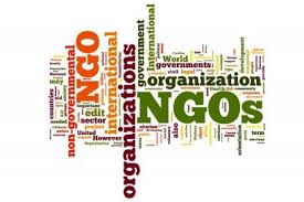 nongovernmental organization