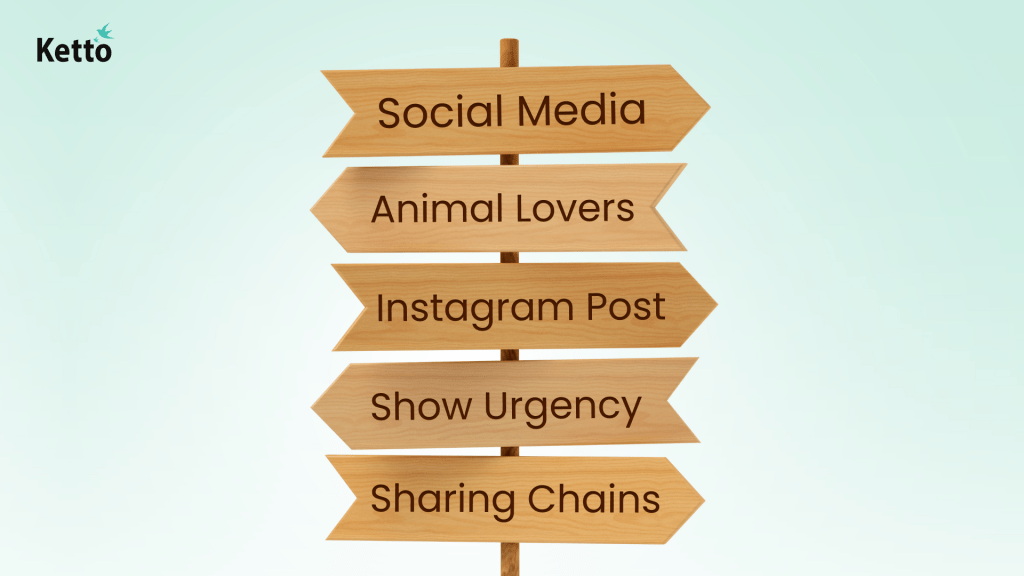 social campaign awareness